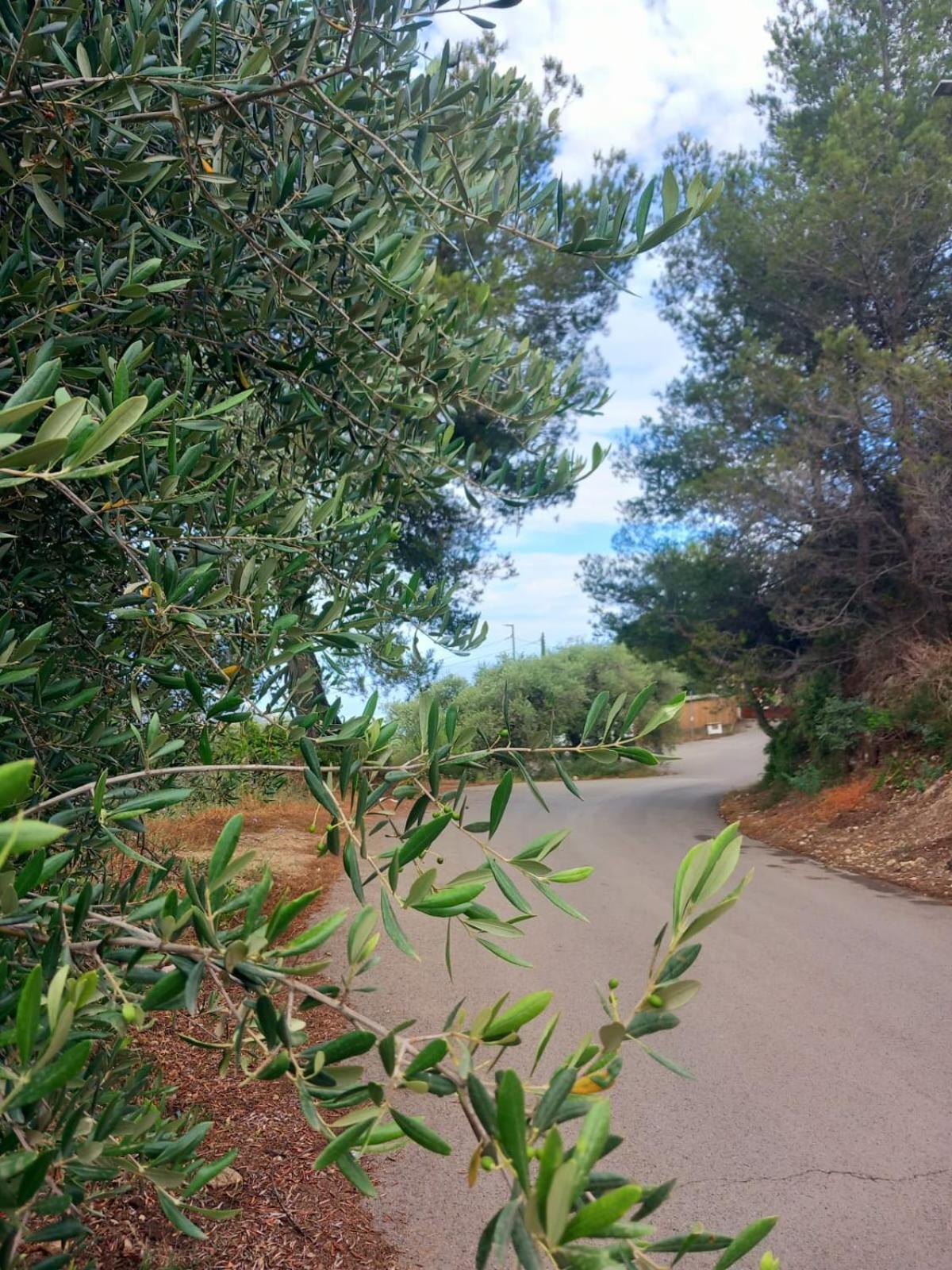 Dolci Risvegli Appartamento Vista Mare Вентимилья Экстерьер фото