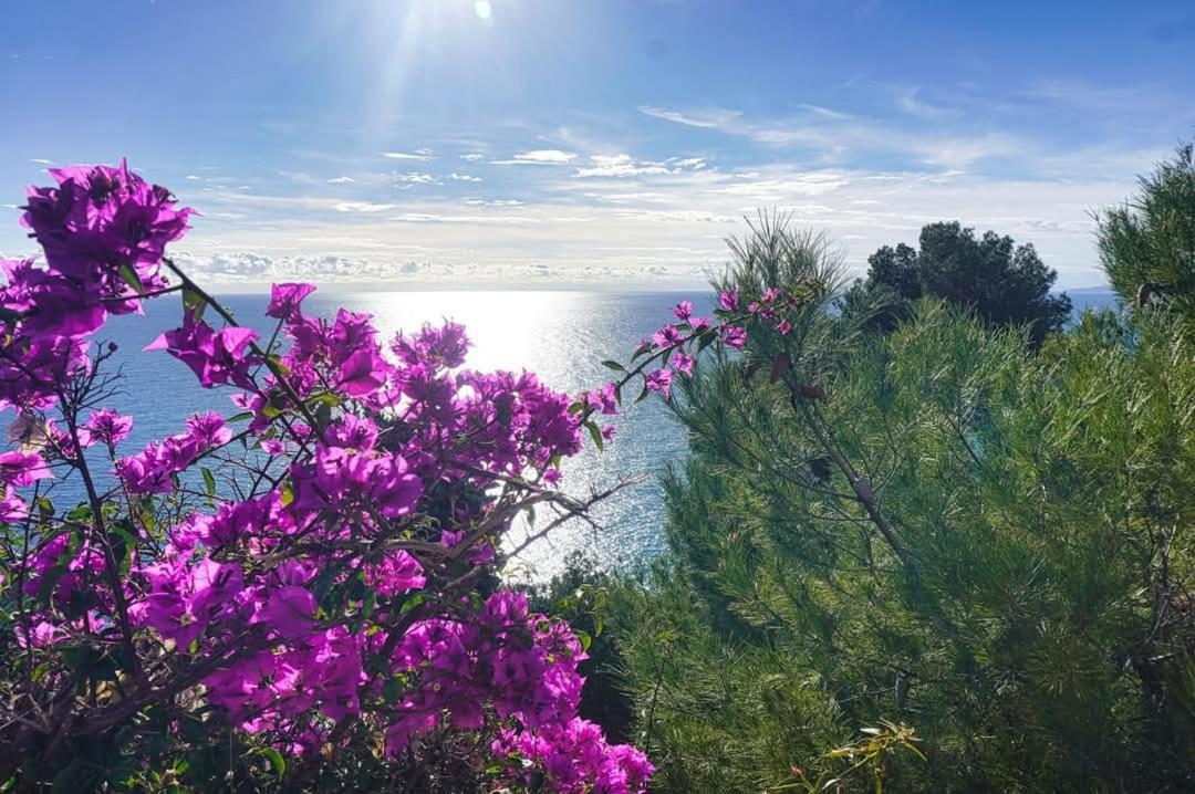 Dolci Risvegli Appartamento Vista Mare Вентимилья Экстерьер фото