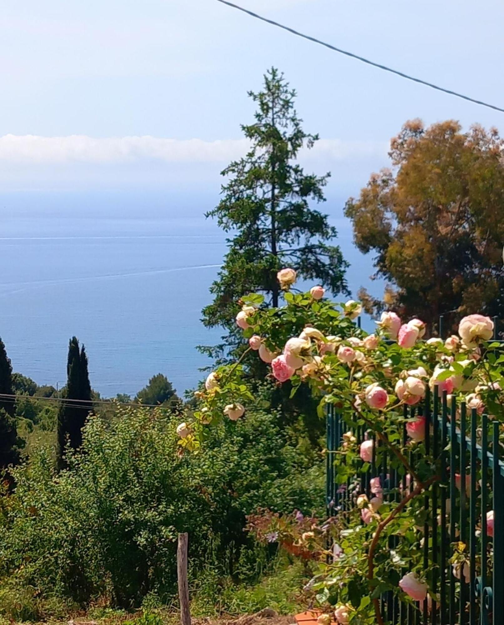 Dolci Risvegli Appartamento Vista Mare Вентимилья Экстерьер фото